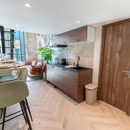 Downtown Duplex, Clim, 15 Min Walk To The Sea Nizza
