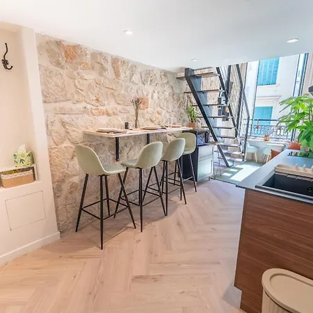 Downtown Duplex, Clim, 15 Min Walk To The Sea Apartment Nizza